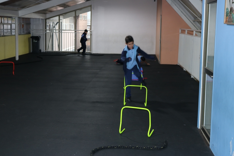 Día de la Actividad Física